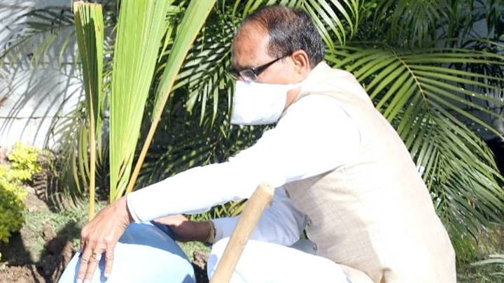 मुख्यमंत्री श्री चौहान ने निवास परिसर में नारियल का पौधा रोपा